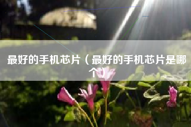 最好的手机芯片（最好的手机芯片是哪个）