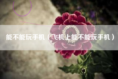 能不能玩手机（飞机上能不能玩手机）