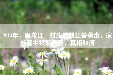 2013年，黑龙江一村庄遭到猛兽袭击，家养黄牛频繁遇害，真相如何