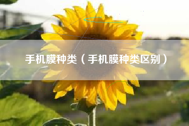 手机膜种类（手机膜种类区别）