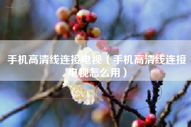 手机高清线连接电视（手机高清线连接电视怎么用）
