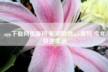 app下载网页源码 东京购物app源码 今年快速渠道