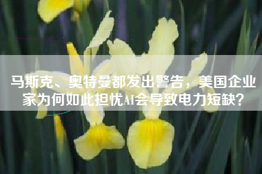 马斯克、奥特曼都发出警告，美国企业家为何如此担忧AI会导致电力短缺？