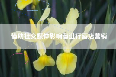 借助社交媒体影响者进行酒店营销
