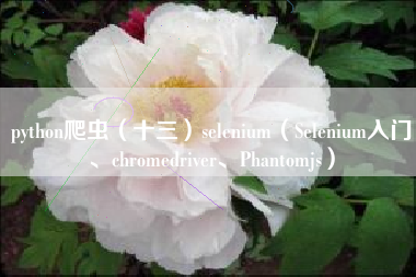 python爬虫（十三）selenium（Selenium入门、chromedriver、Phantomjs）