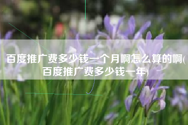百度推广费多少钱一个月啊怎么算的啊(百度推广费多少钱一年)