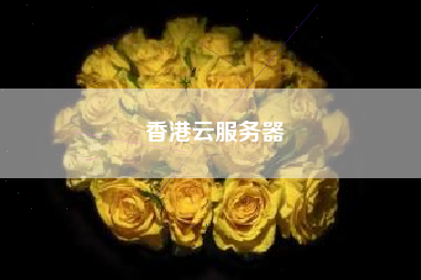 香港云服务器 香港云服务器