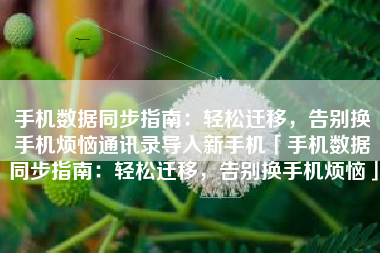 手机数据同步指南：轻松迁移，告别换手机烦恼通讯录导入新手机「手机数据同步指南：轻松迁移，告别换手机烦恼」
